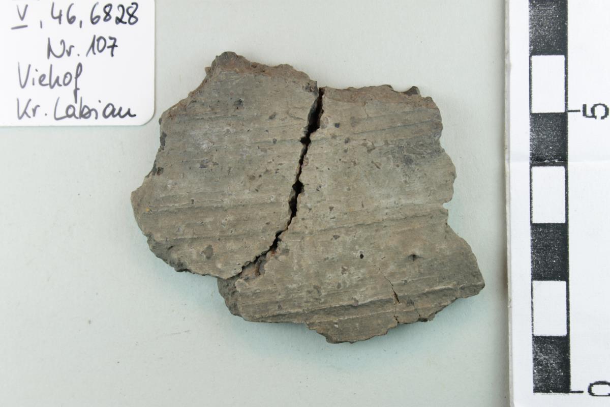 Gefäßfragment