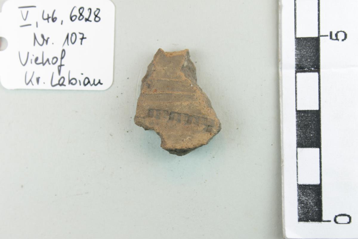 Gefäßfragment