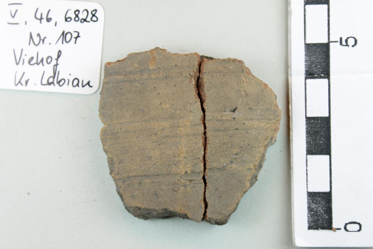 Gefäßfragment