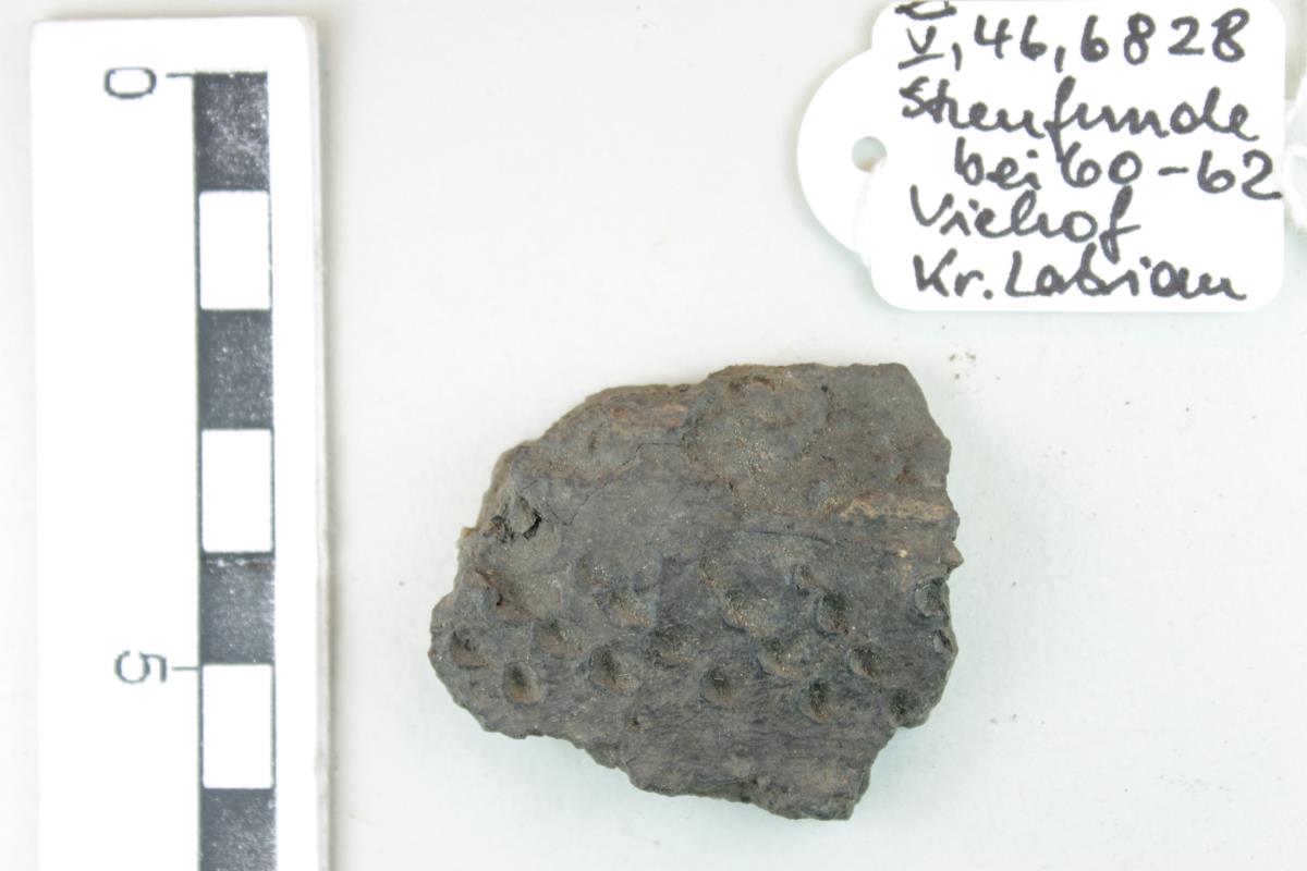 Gefäßfragment