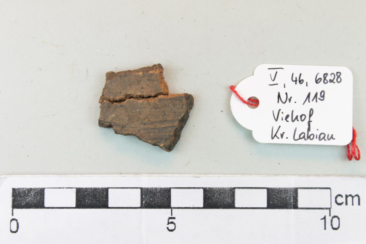 Gefäßfragment