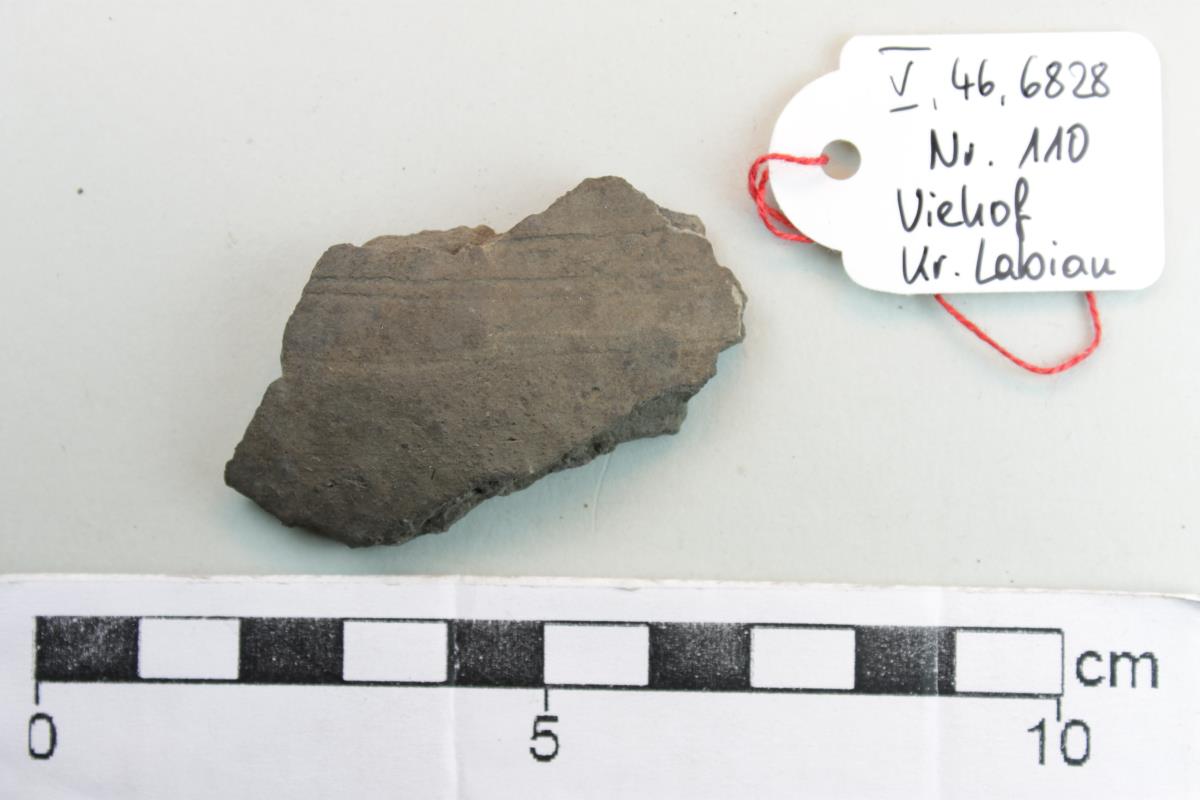 Gefäßfragment