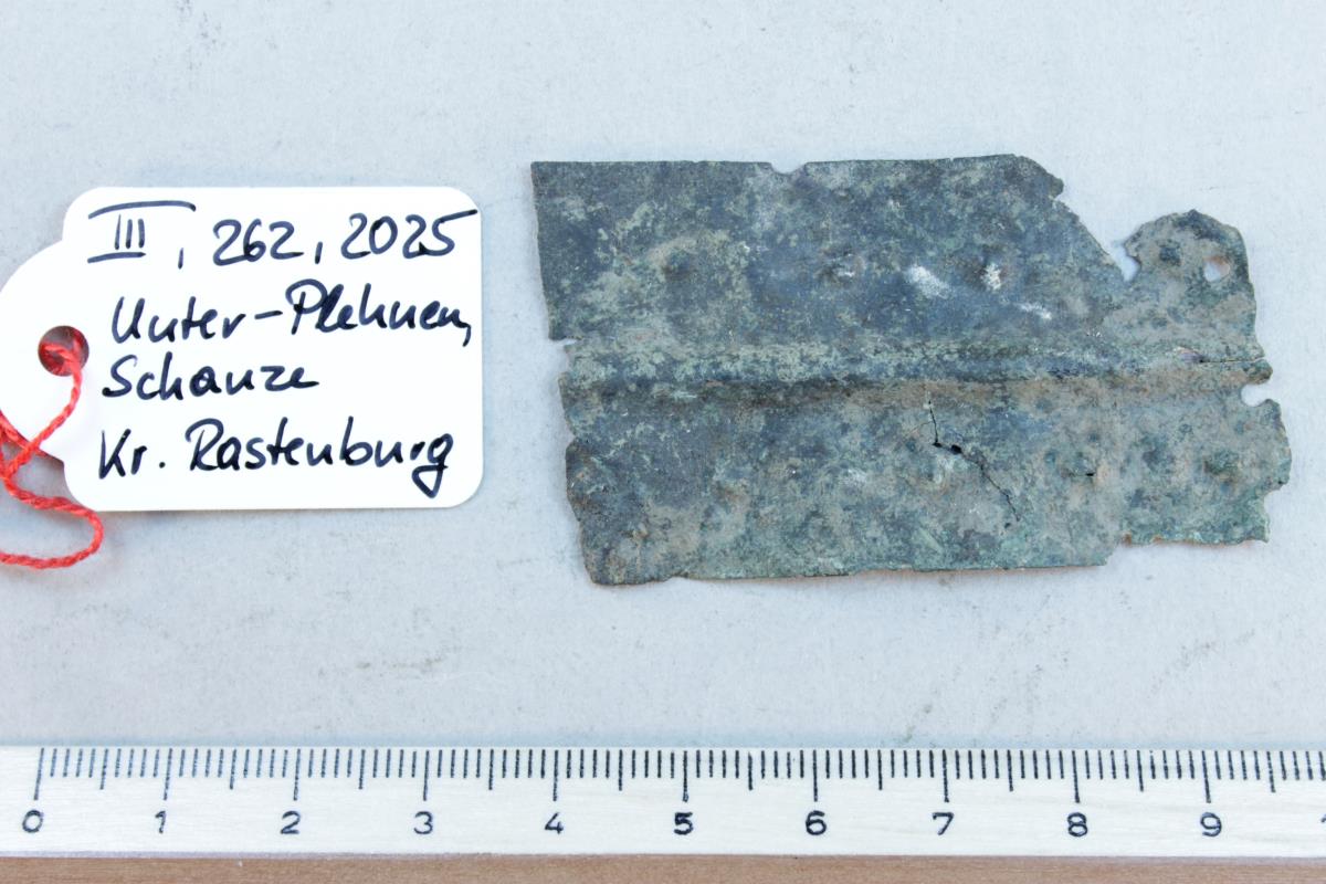 Gürtelblech