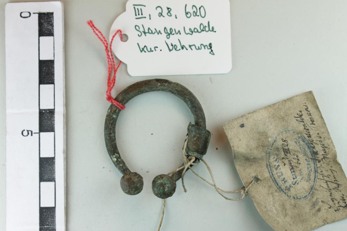 Hufeisenfibel