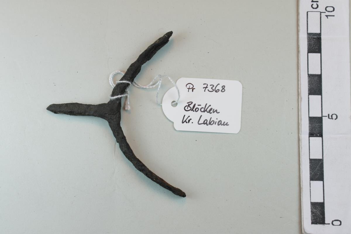 Stachelsporn