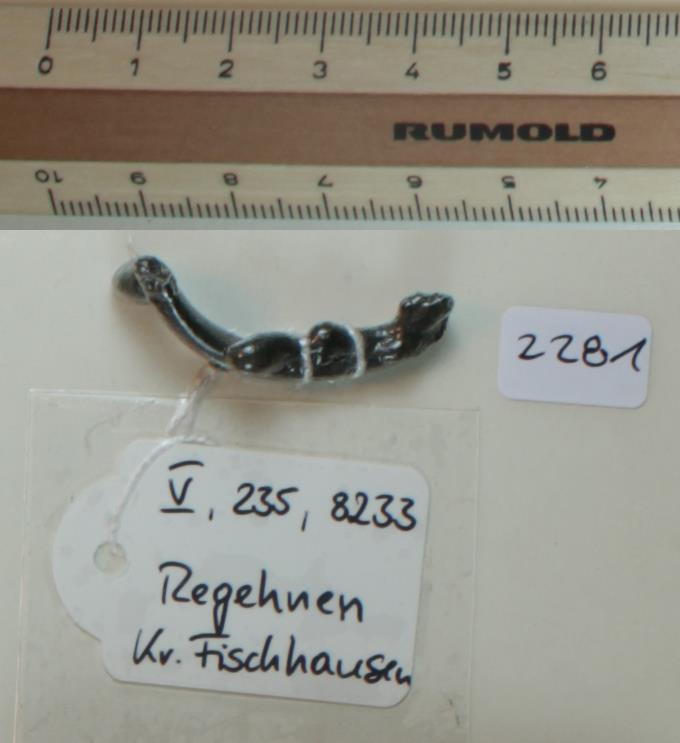 Eisenringfragment