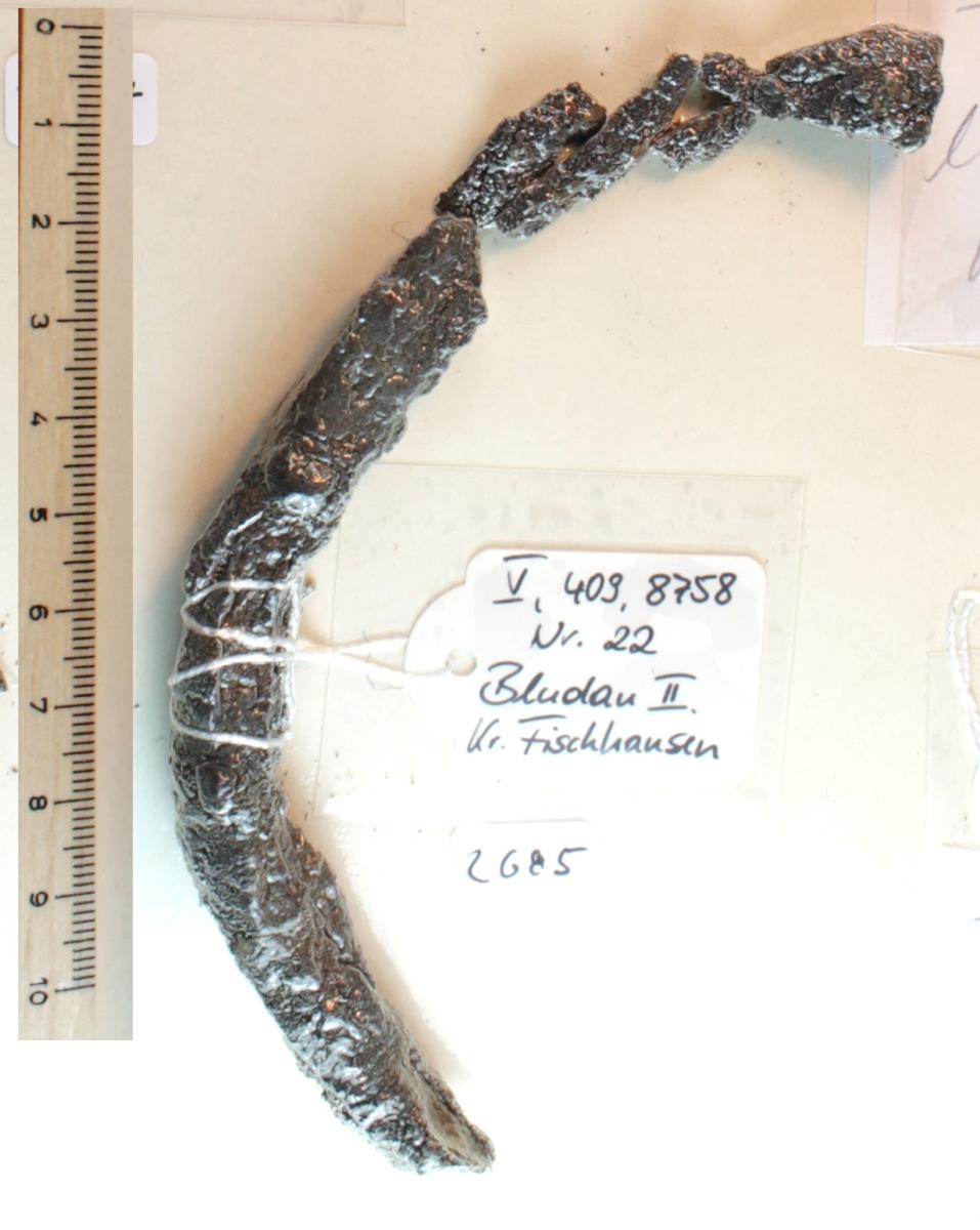 Steigbügelfragment