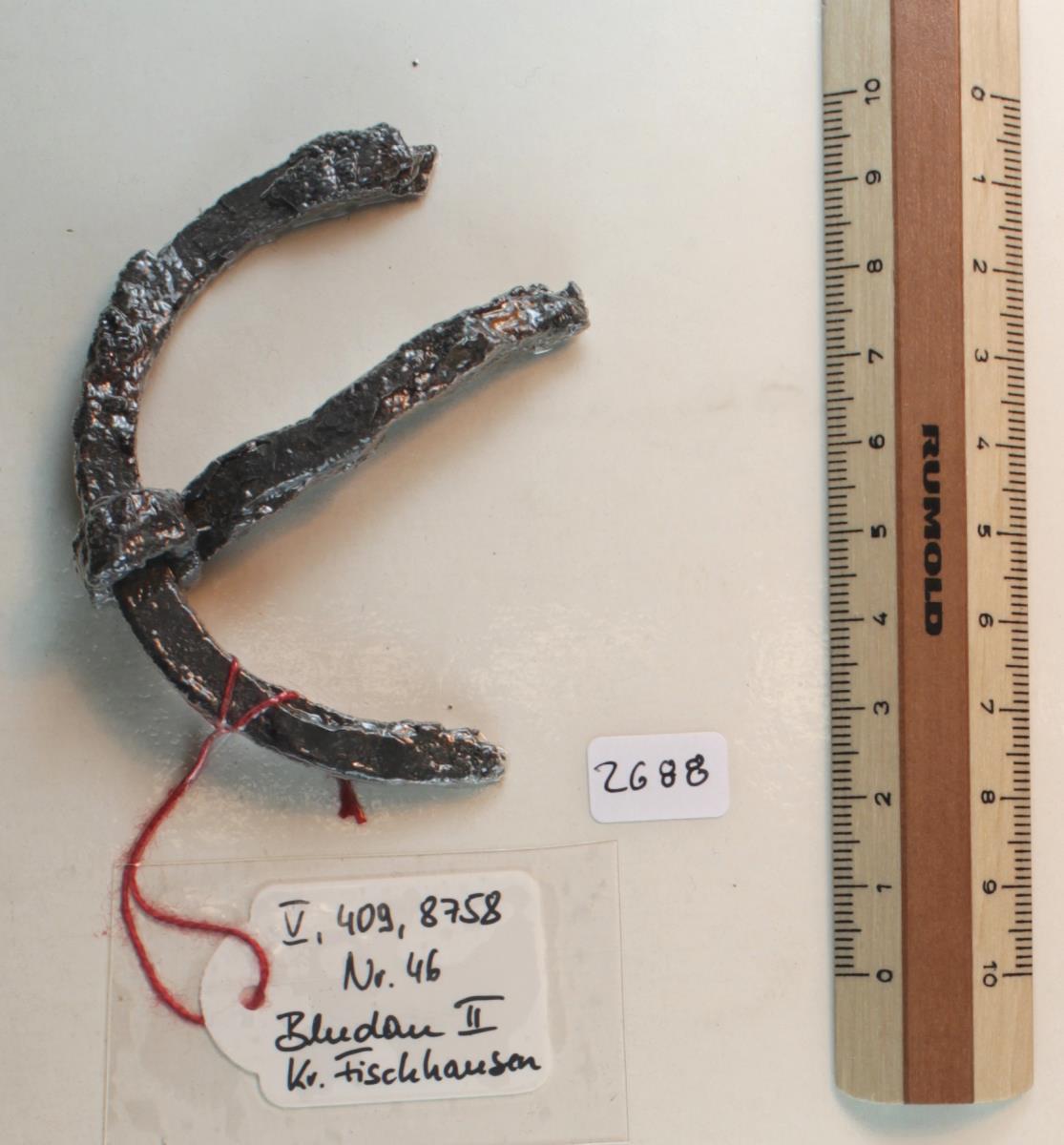 Ringtrensenfragment