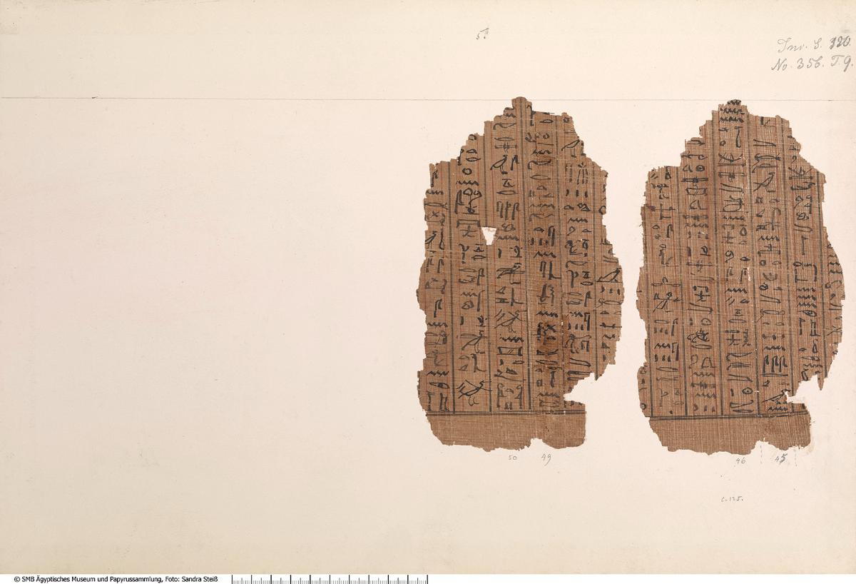 Hieratischer Papyrus mit dem Totenbuch der Ta-iri-Neith