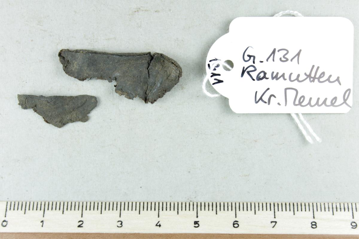 Gürtelriemenfragment