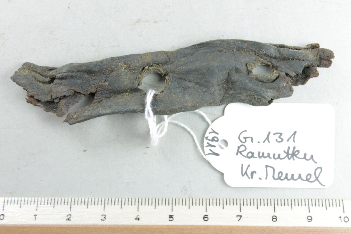 Gürtelriemenfragment