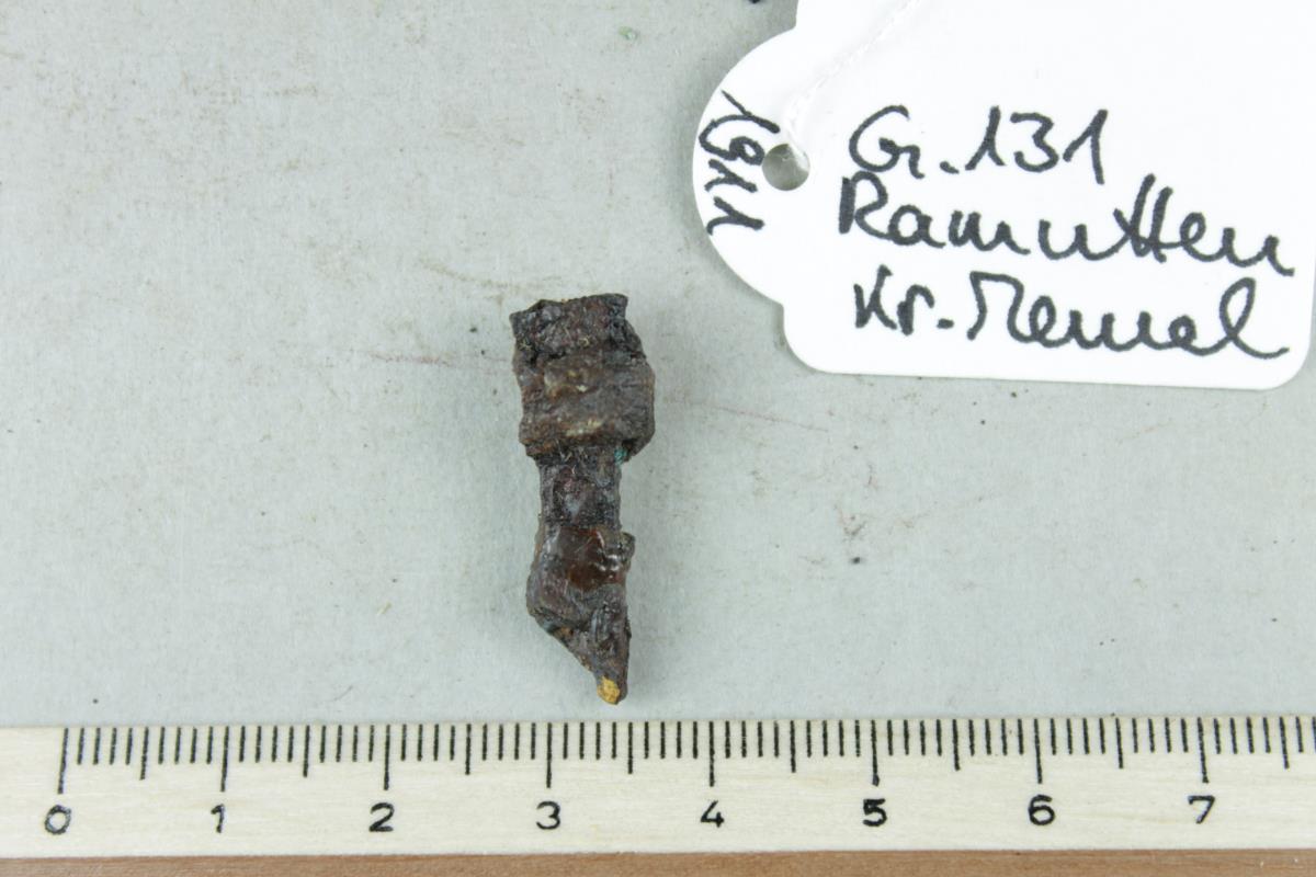 Sporenfragment