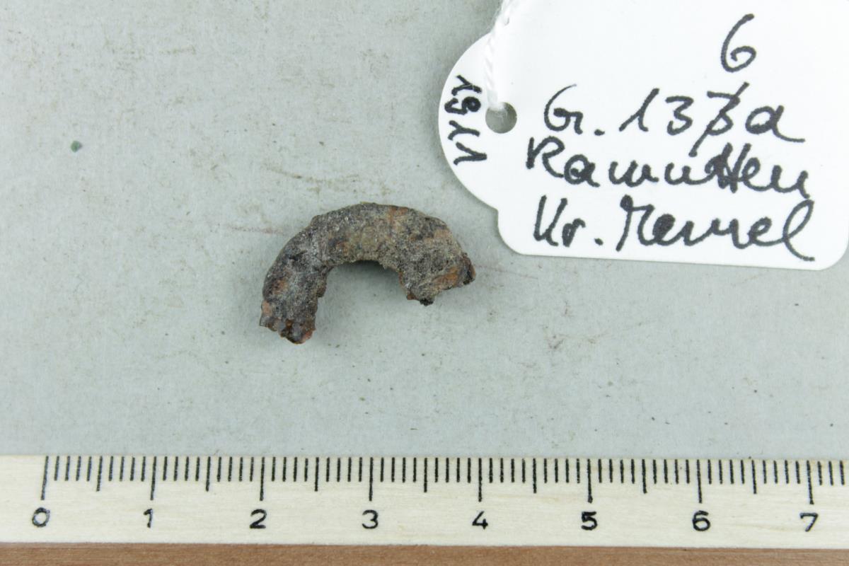 Ringfragment
