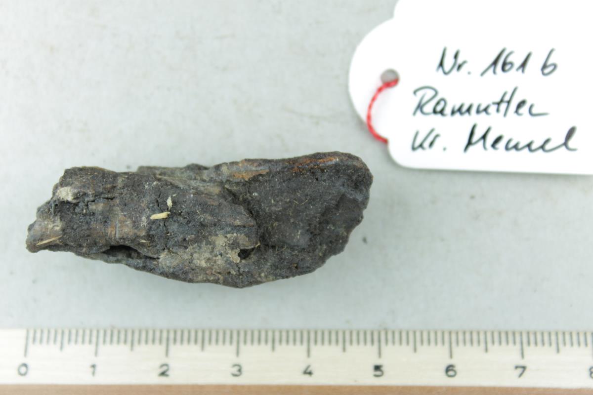 Messergrifffragment