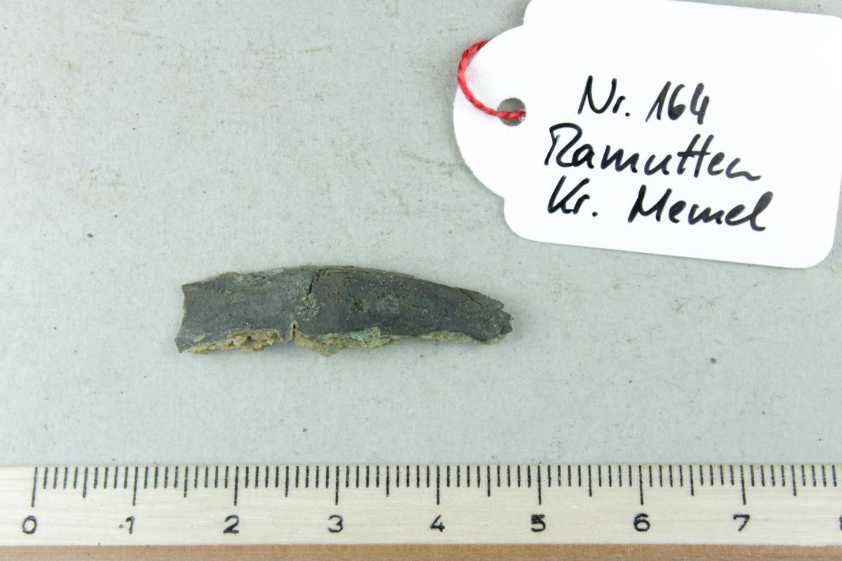 Gürtelriemenfragment