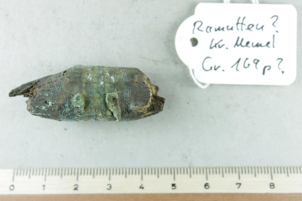 Holzstab mit Resten von Bronzeringen