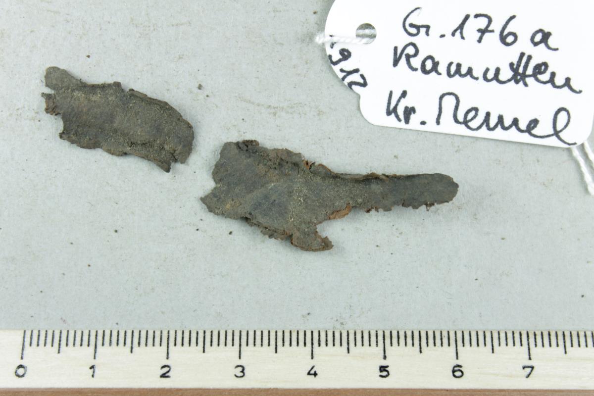 Gürtelriemenfragment