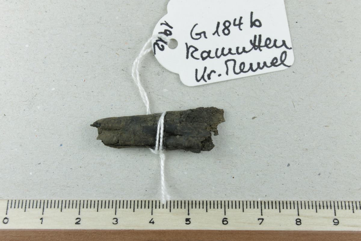 Lederfragment