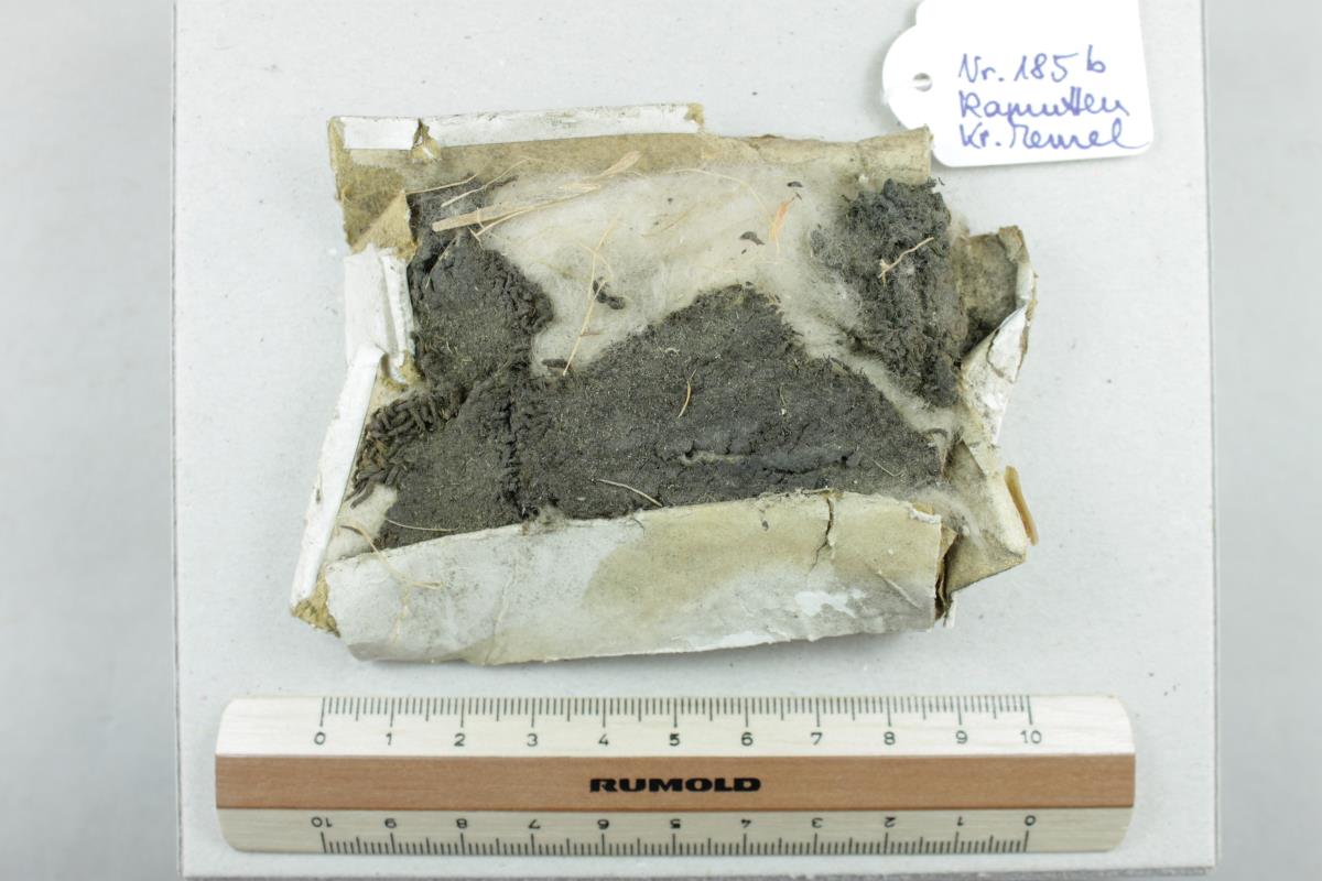 Textilfragment