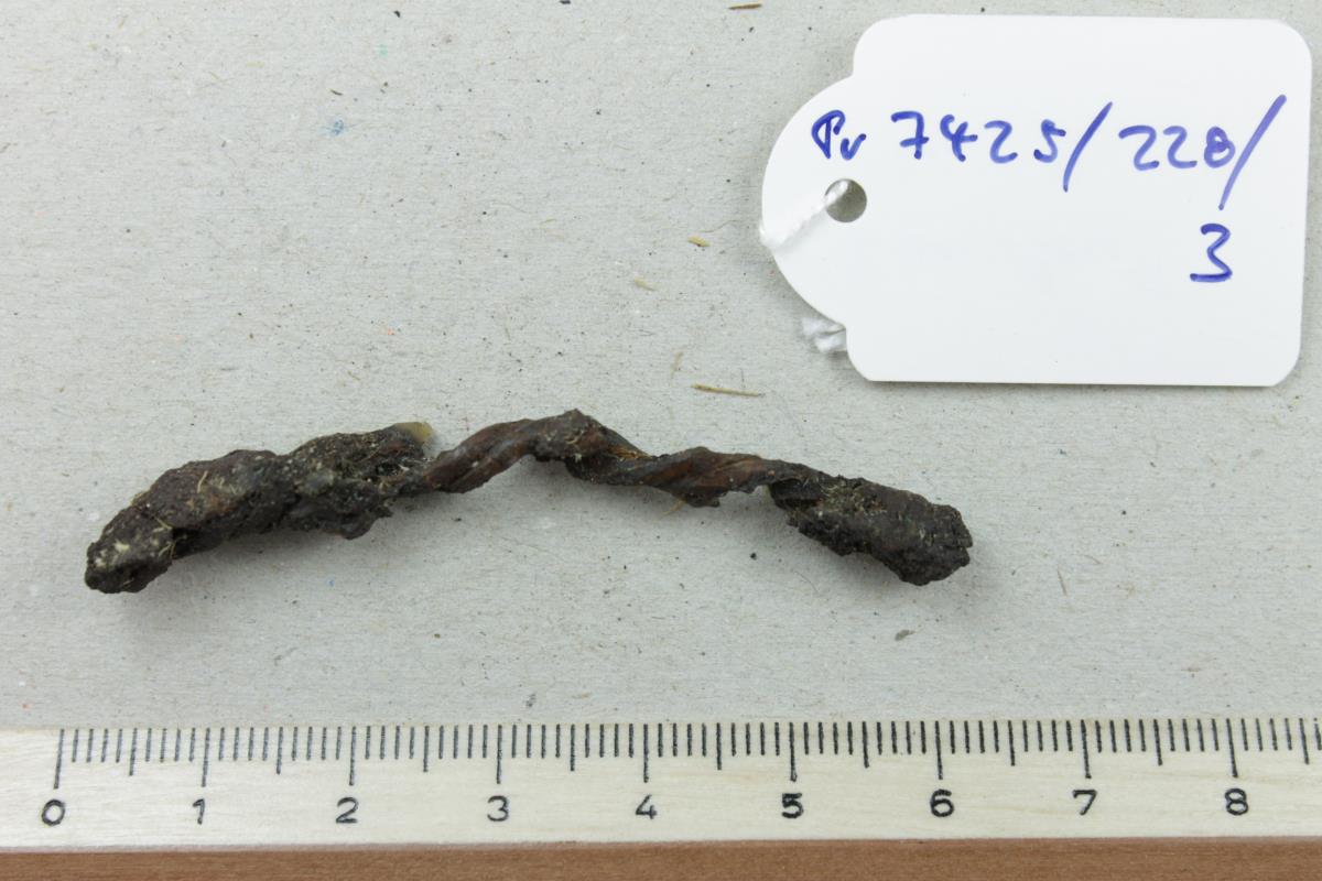 Halsringfragment