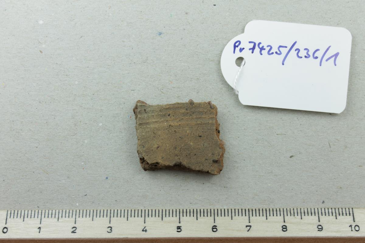 Gefäßfragment