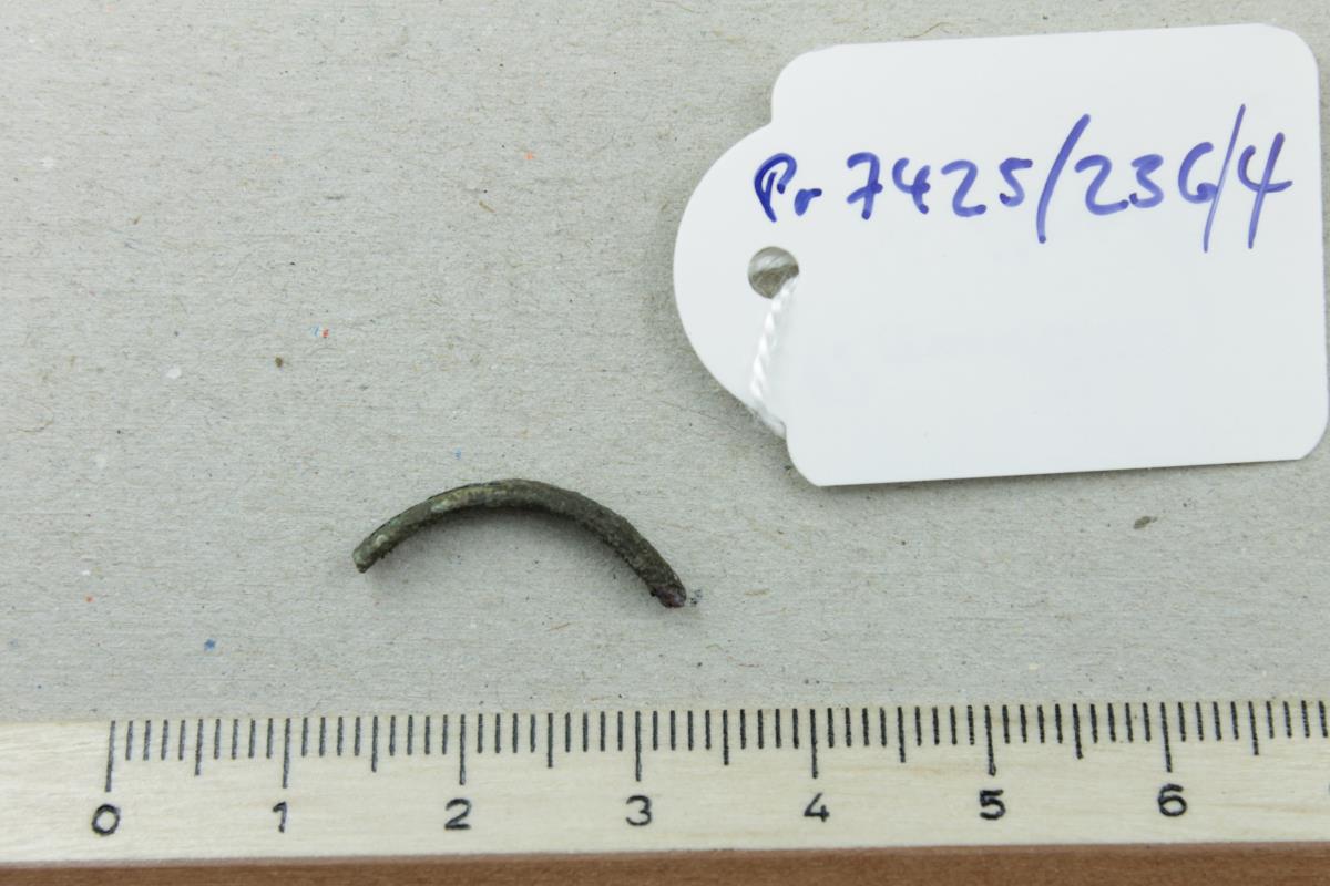 Ringfragment