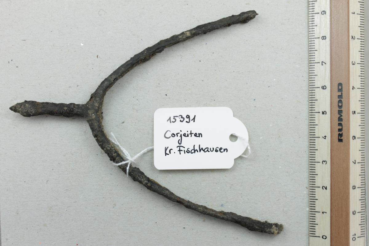 Stachelsporn