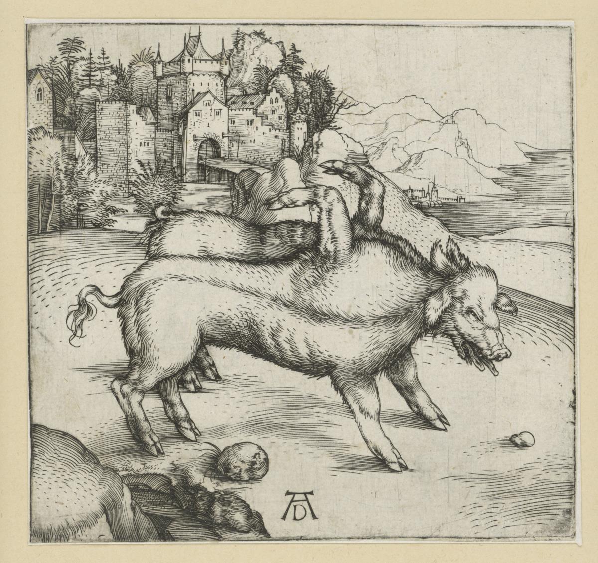Die Mißgeburt eines Schweins
