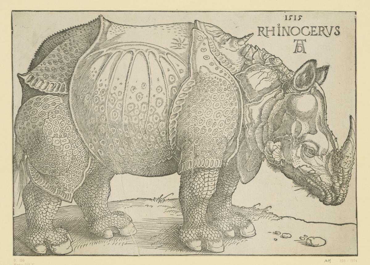 Das Rhinozeros