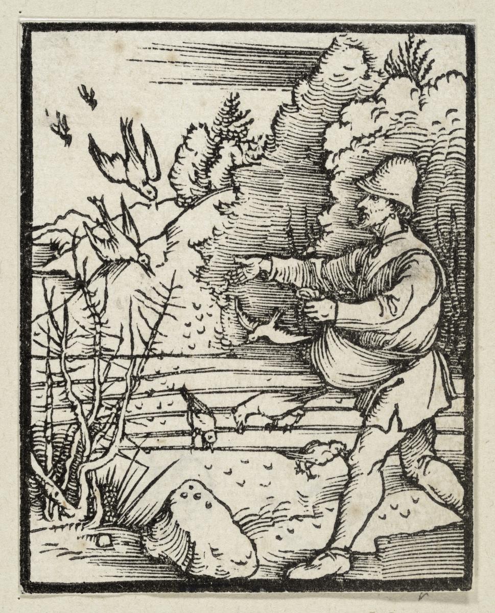 Das Gleichnis vom Sämann (aus: Postilla, 43 Holzschnitte)
