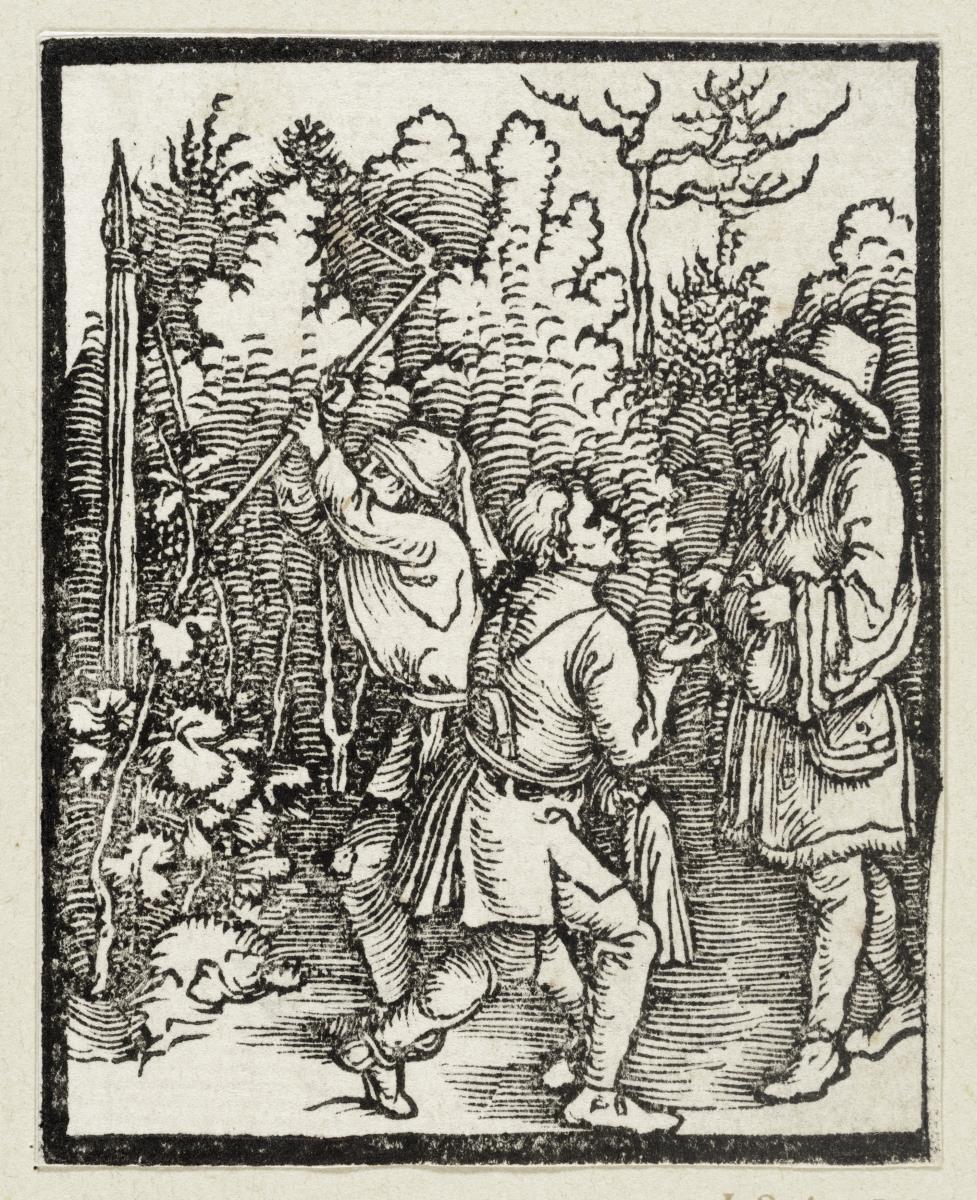 Die Arbeiter im Weinberg (aus: Postilla, 43 Holzschnitte)