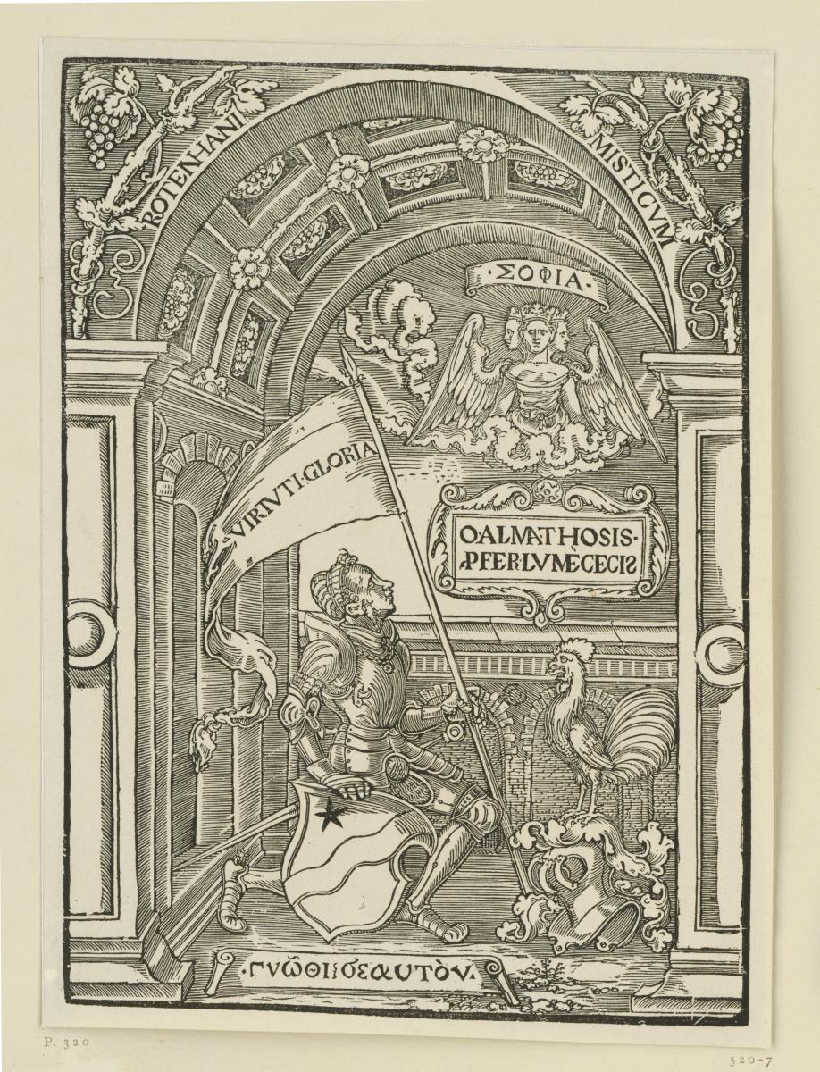 Mystische Allegorie des Sebastian Rotenhan