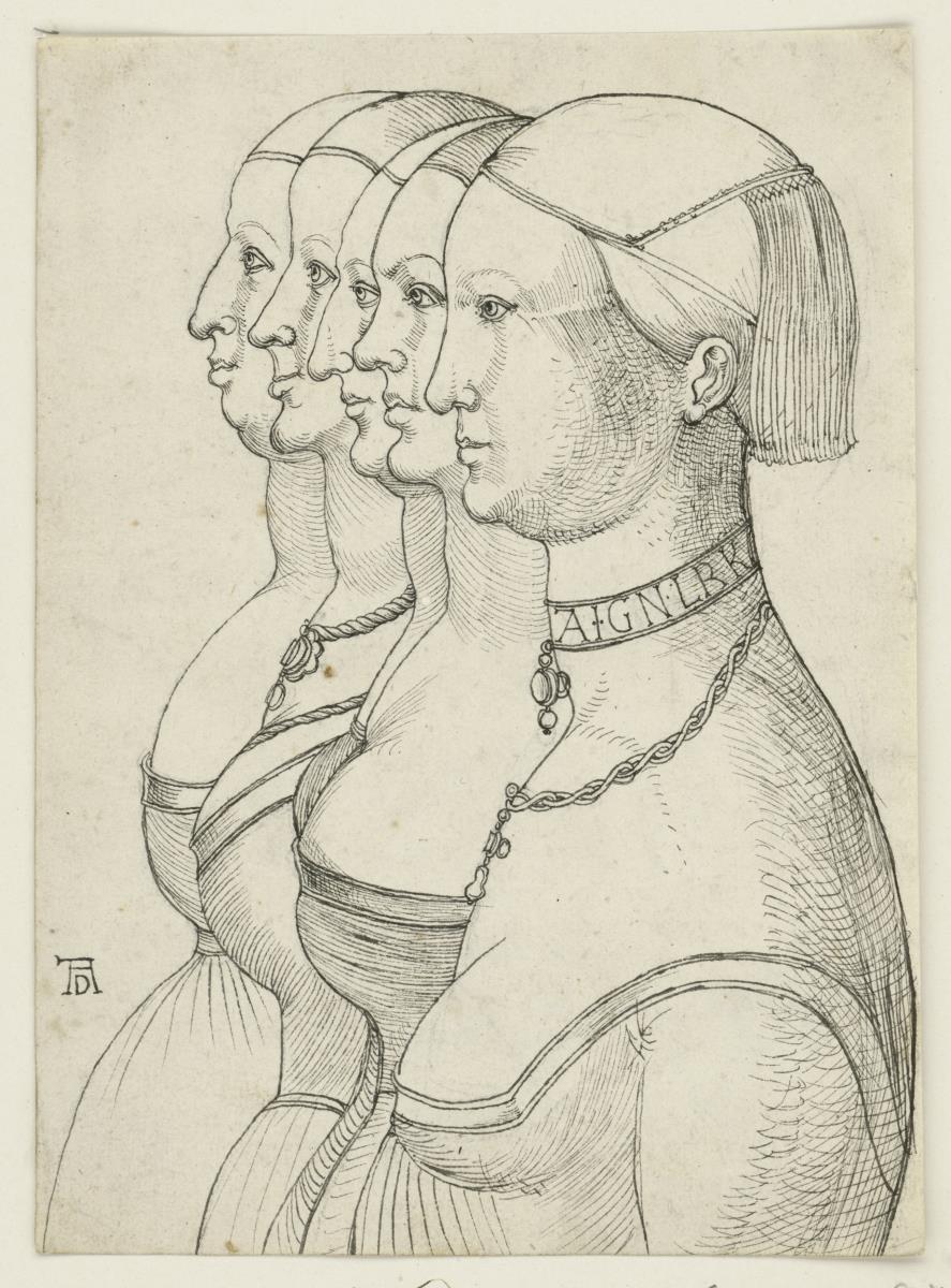 Fünf weibliche Halbfiguren, im Profil nach links, nach der Art Leonardos hintereinander gestellt