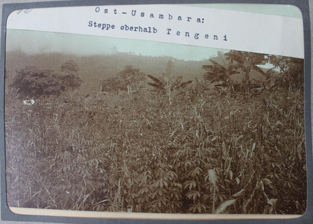 Ost-Usambara. Steppe oberhalb Tengeni