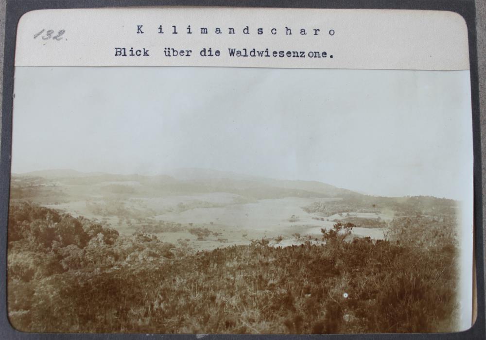 Kilimandscharo. Blick über die Waldwiesenzone