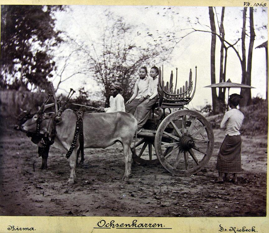 Birmanischer Ochsenkarren.
