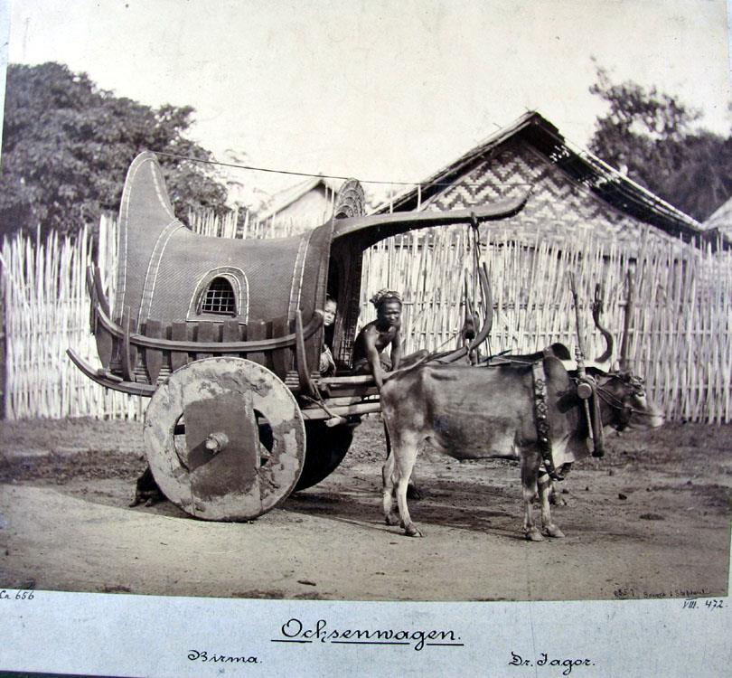 Ochsenwagen