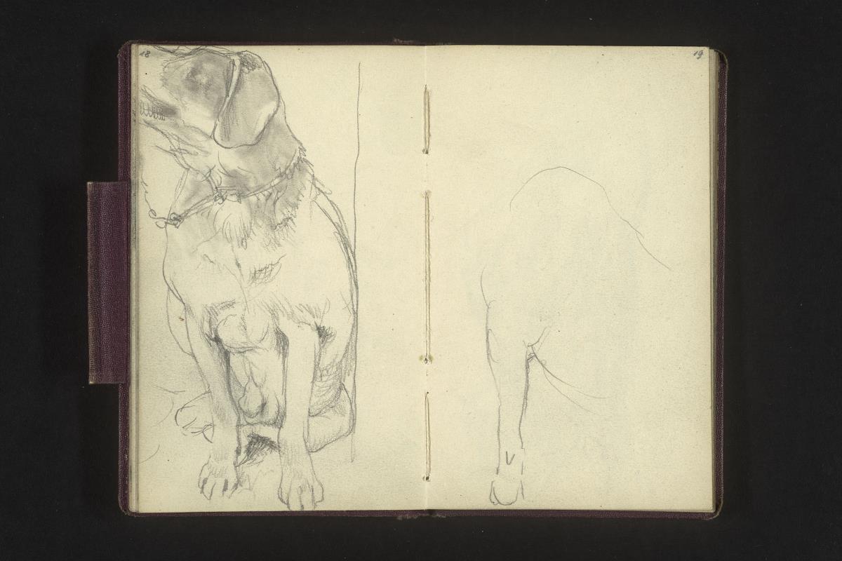 Hundestudie