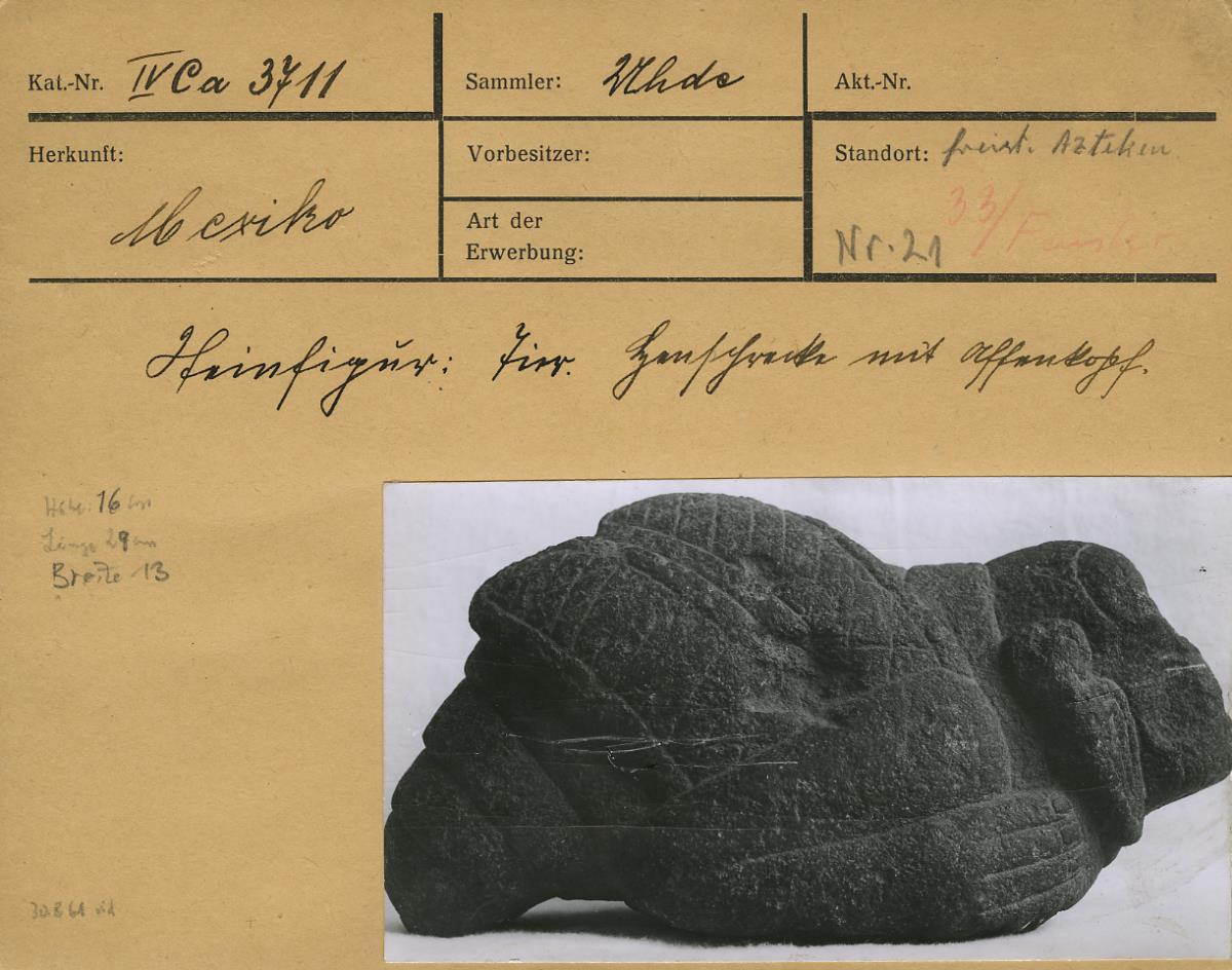 Heuschrecke mit Affenkopf