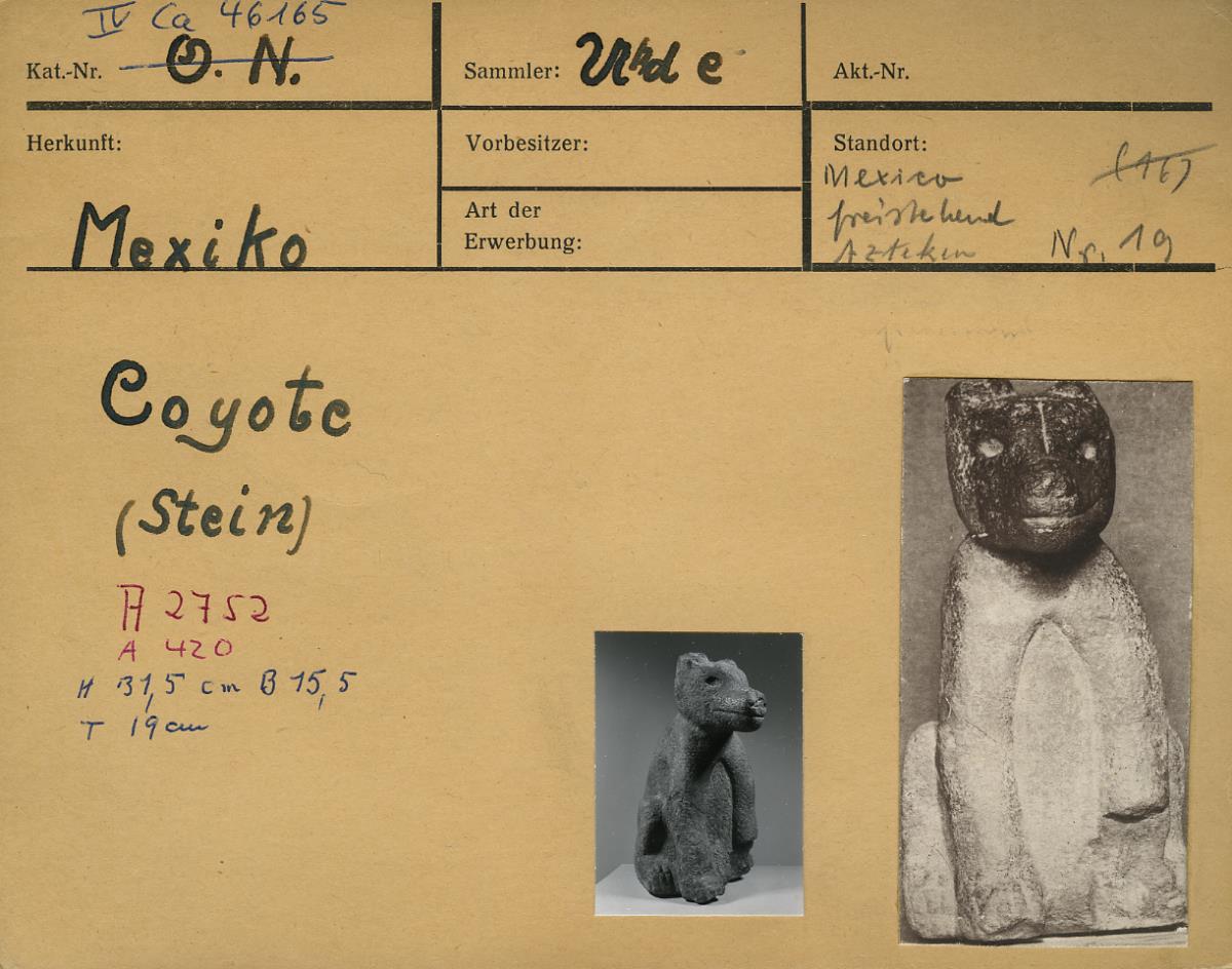 Koyote