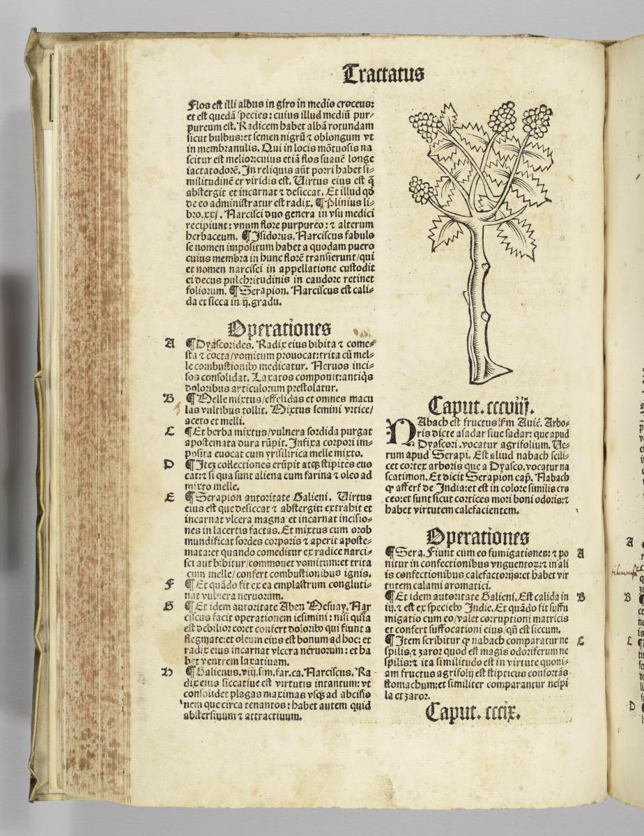 Joh. Cuba: (H) Ortus sanitatis. Reinhard Beck: Strassburg 1517