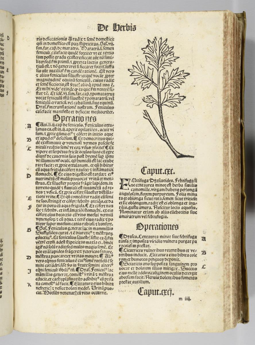 Joh. Cuba: (H) Ortus sanitatis. Reinhard Beck: Strassburg 1517