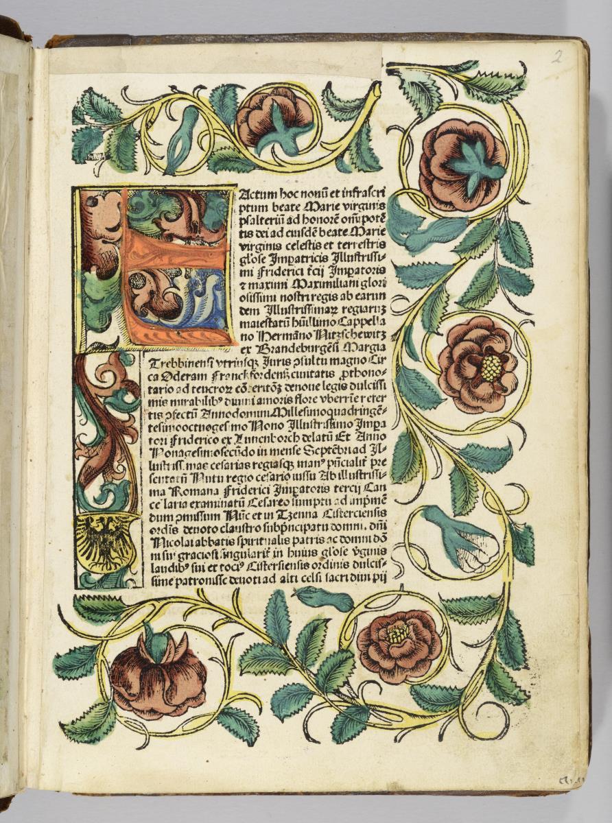 Textseite mit Initiale und Rankenbordüre. in: Nitschewitz, Hermannus: Novum beatae Mariae virgis Psaltarium. Zinna ca. 1492