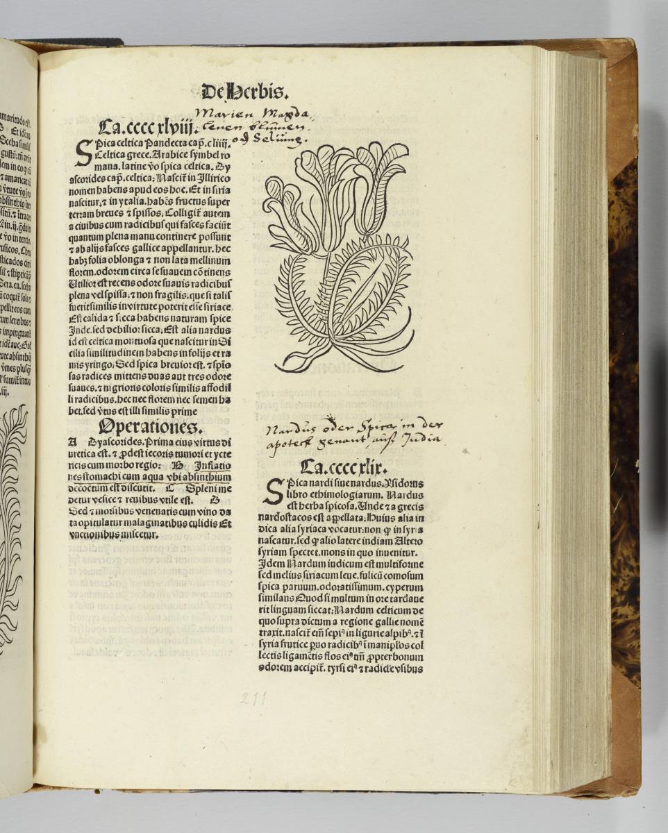 Hortus sanitatis. Mainz: Jakob Meydenbach. 23.VI.1491.
