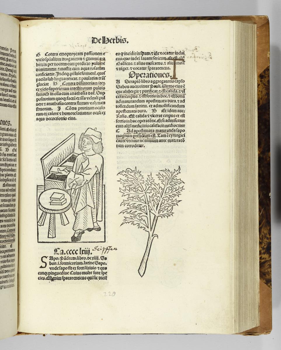Hortus sanitatis. Mainz: Jakob Meydenbach. 23.VI.1491.