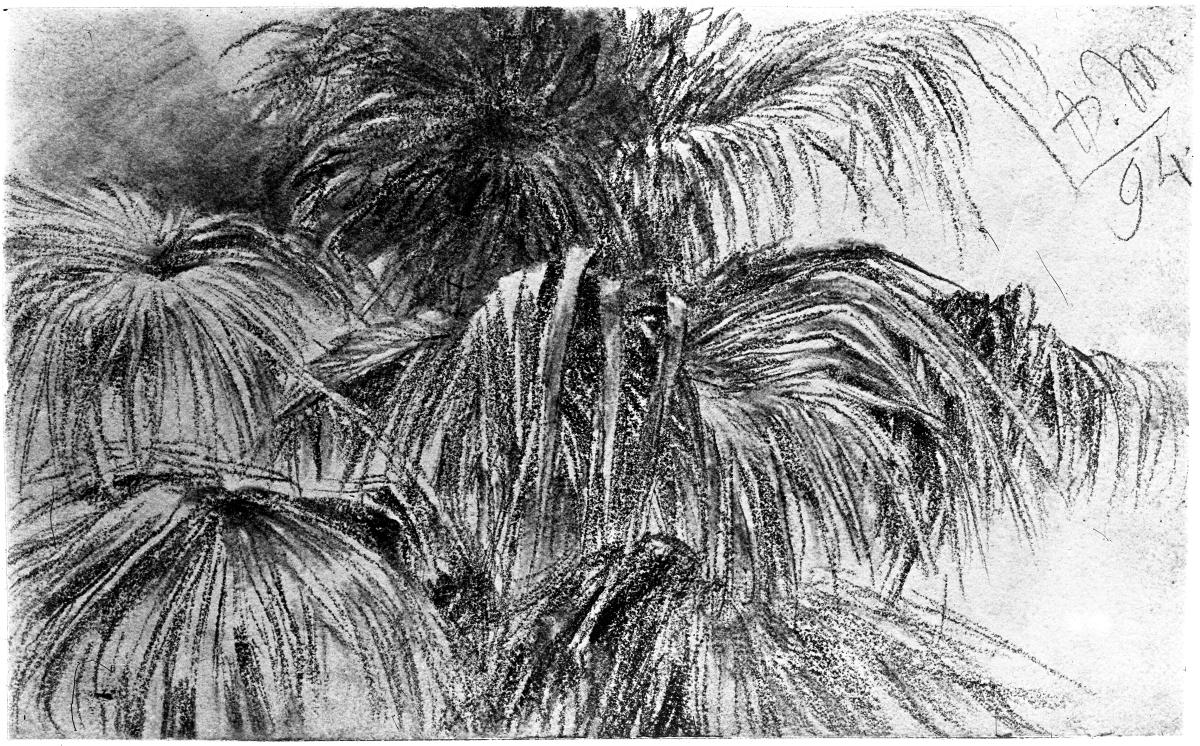 Palmblätter