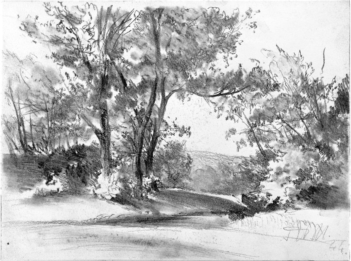 Hügelige Landschaft mit Baumgruppe und Gebüsch am Bach
