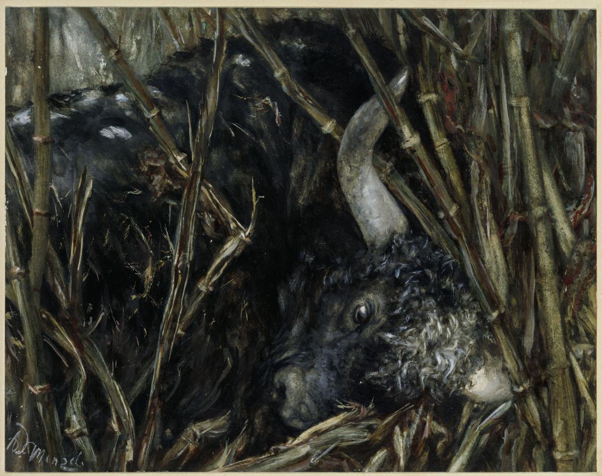 Der Yak-Stier im Bambus. Aus dem "Kinderalbum"