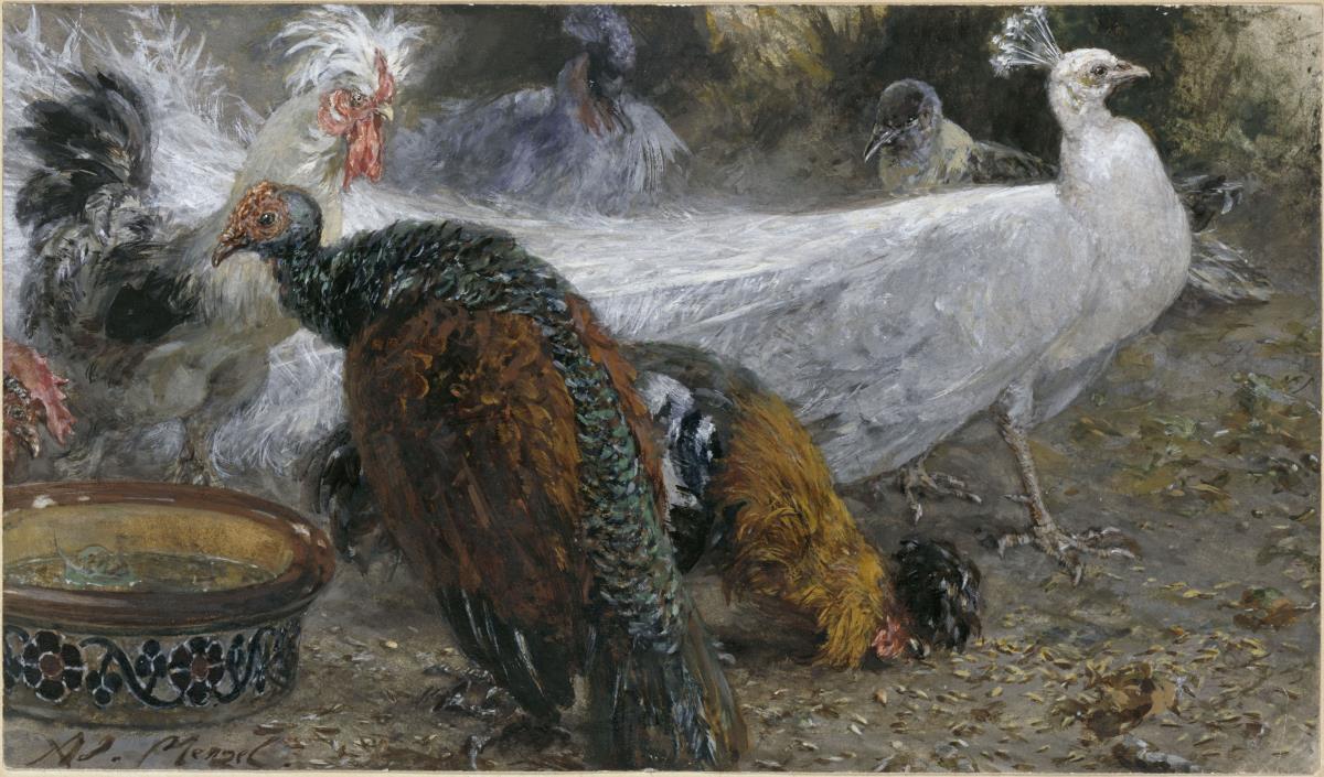 Der weiße Pfau mit Truthenne und Hühnern. Aus dem "Kinderalbum"