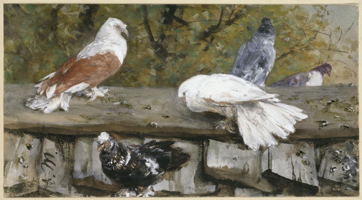Tauben auf einem Holzdach. Aus dem "Kinderalbum"